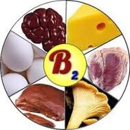B2 B2 vitamini za mozak